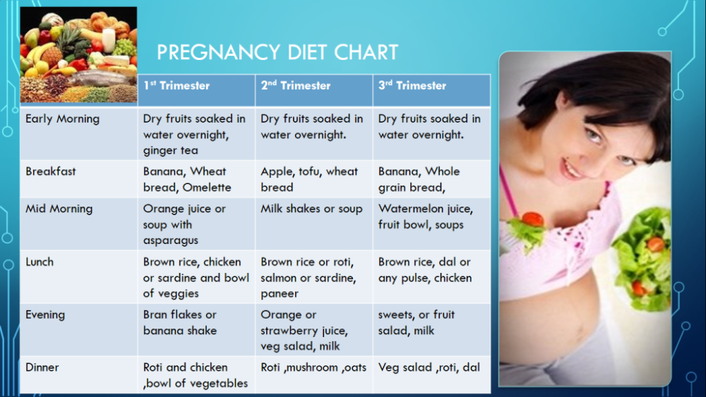 pregnancy-facts-top-14-facts-about-pregnancy-facts