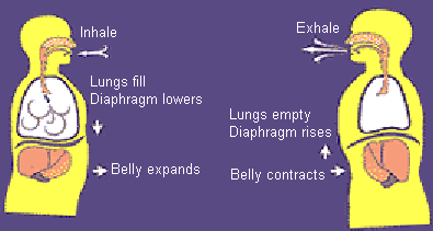 Ujjayi Pranayama Benefits