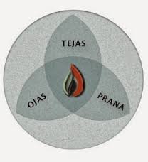 Meaning of Ojas