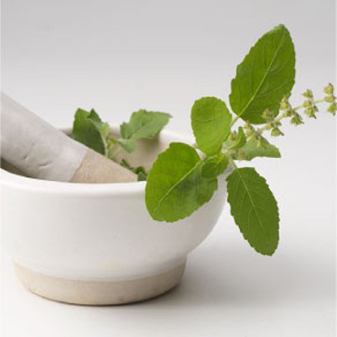 tulsi- ayurvedic home remedy for pimples