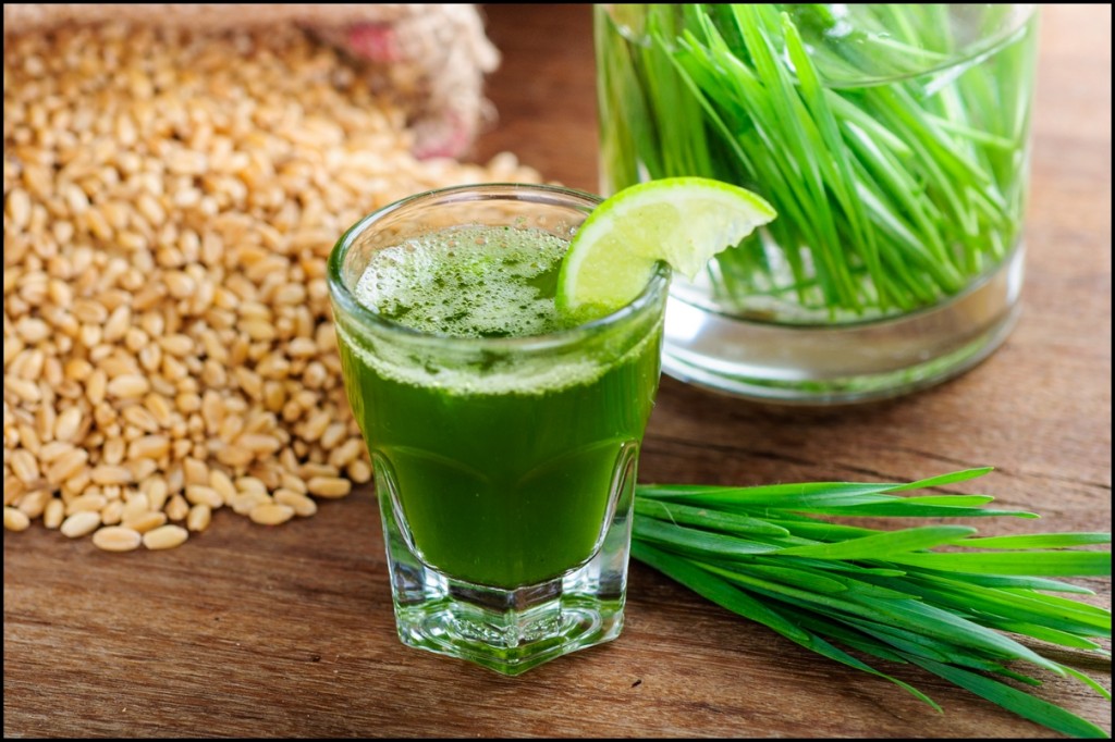 wheatgrass benefits and side effects