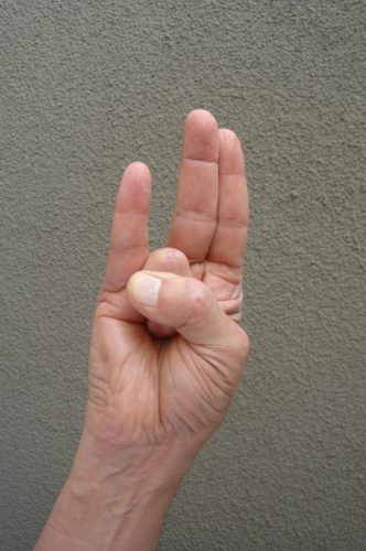 Prithvi Mudra