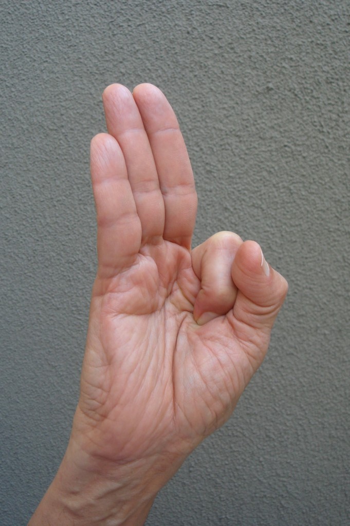 Vayu Mudra