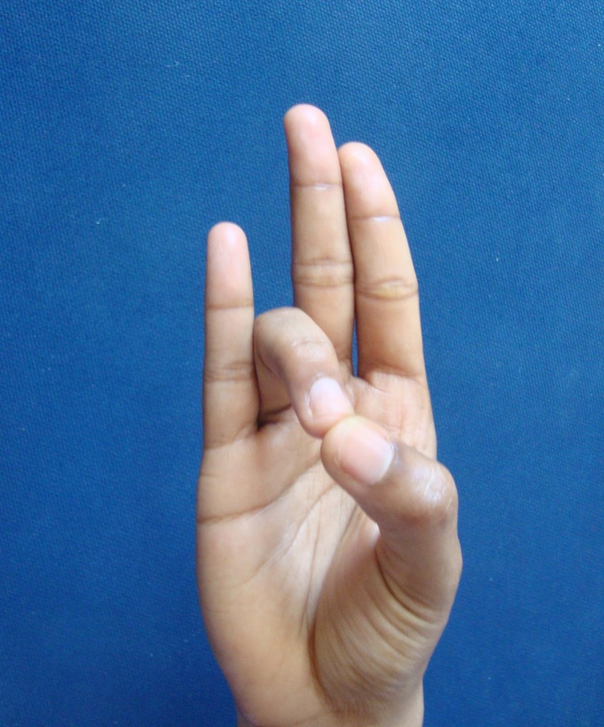 surya mudra