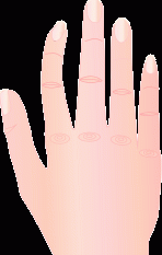 Index Finger Curved Inward